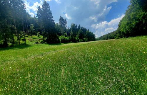 Apartment bei Nürburgring, Parking, Homeoffice - Foto 56