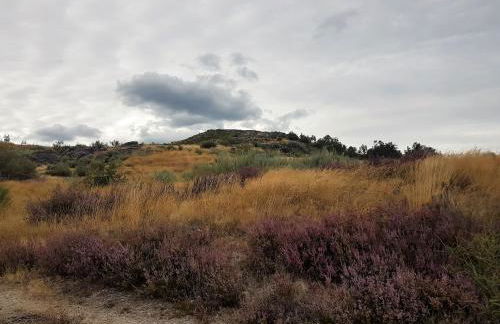 Abrigo Montesinho - Foto 22