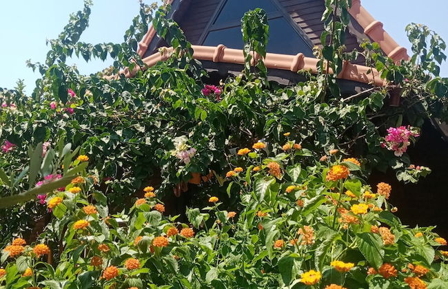 Riviera Bungalow Evleri Demre - Photo 49