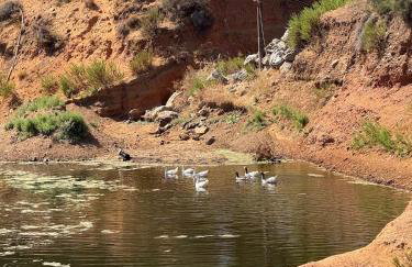 Villa GIANNAKOS MINOAN HERSONISSOS - Foto 26