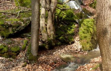 Witts Home from Home - Foto 55