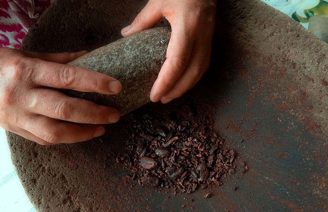 Visita a uma fazenda - Foto 2