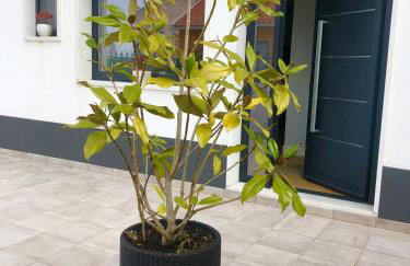 Casa Pátio country house - Foto 31