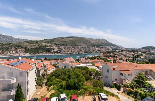 Vila Curic - Photo 6