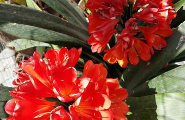 NEW PANORAMA STUDIOS ELECTRIC car ΦΟΡΤΙΣΗΣ ΣΤΑΤΙΟΝ - Foto 68