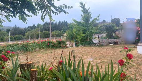 Turismo Rural Macieira Brava - Foto 2, Garden, Garden view