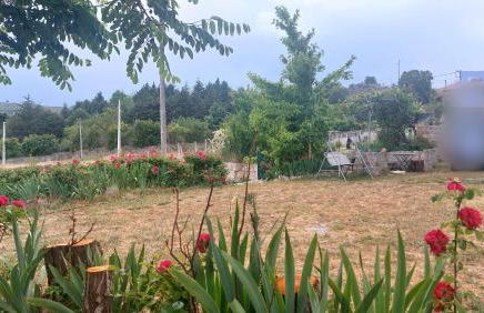 Turismo Rural Macieira Brava - Foto 2