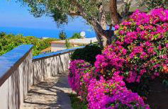 Appartamenti Luongo - Foto 1