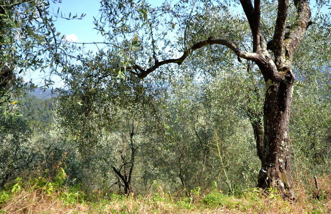 Belvilla by OYO Angie - Foto 38