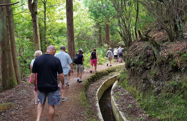 Tour de 4x4 por Santana, Pico do Areeiro e Ponta de São Lourenço - Foto 5