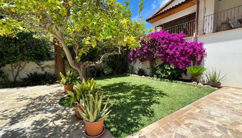 Villa Buena Vista - Foto 4, Garden