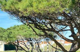 Casa Sol e Mar by Férias em Figueira - Foto 8