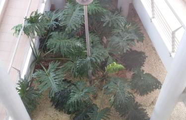 Atlantic Beach-side Apartment - Foto 20