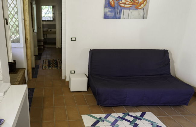 Agricontura - Foto 49