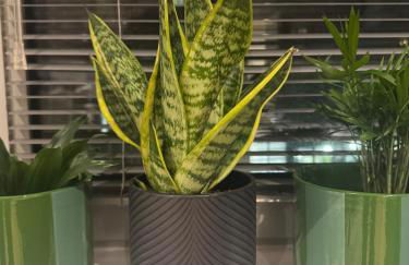 Luxury flat with FREE parking & easy tube access! - Foto 12