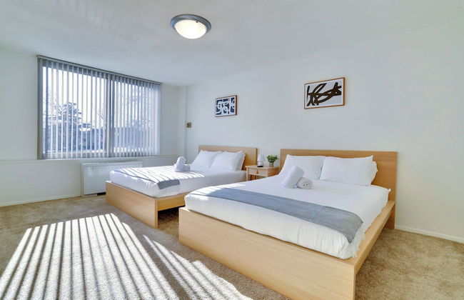 Crystal City Comfortable Apartments - Photo 23