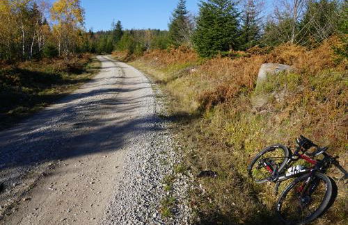 Ferienhaus Sunny - Foto 21