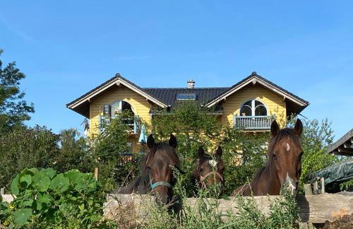 Seeblockhaus - Foto 17