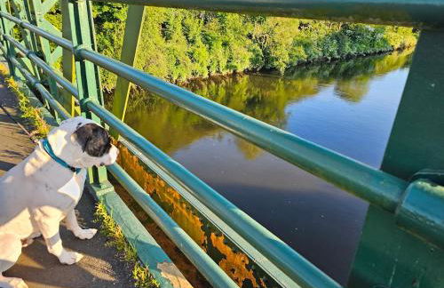 Your Home from Home - River bank - Foto 20