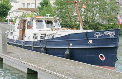 Spicy - Séjour insolite sur la Marne - Foto 10