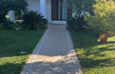 Casa Pionieri - Foto 1