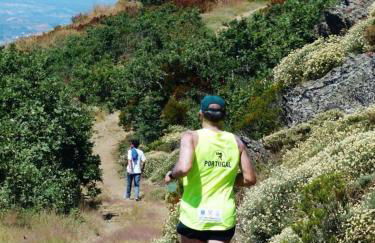 Quinta das Colmeias - Foto 33