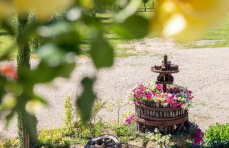 Agriturismo Le Mistral - Foto 33