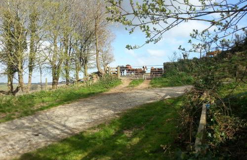 Sunflowers Barn - Foto 20