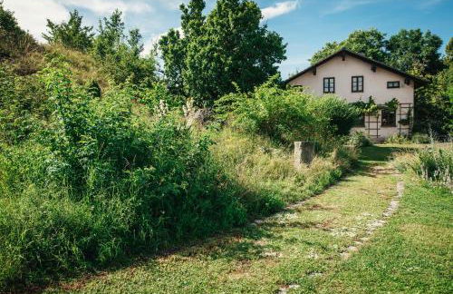Haus Archaeopteryx – privater Außen-Pool – einzigartig im Naturpark - Foto 22