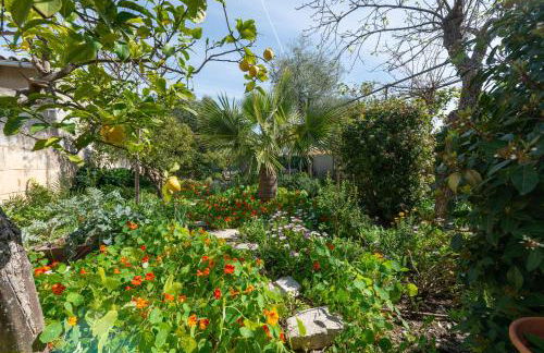 Construcciones Balaguer - Foto 46