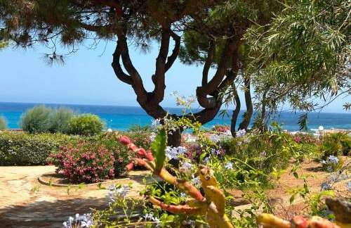 Charmant 3 pièces terrasse climatisé bord de mer - Foto 31