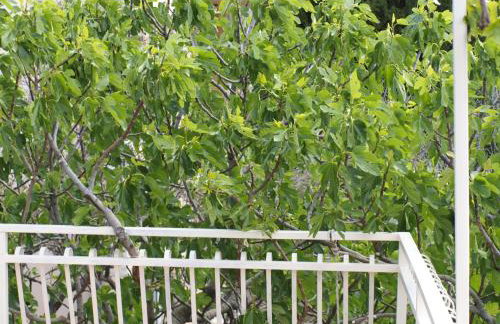 Apartment Pletikosic - Foto 20