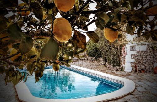 Agroturismo Matxani Gran - Foto 60