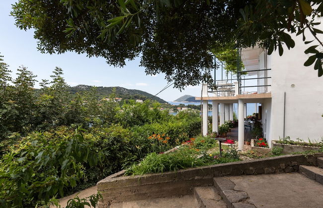 Apartments Miskovic - Foto 30