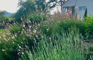 Superbe maison avec jardin - Foto 7