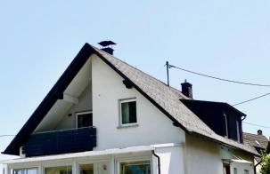 Ferienwohnung Haus am Calmont - Foto 24