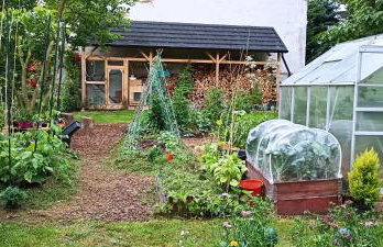 Dom Pod Złotym Bażantem - Foto 13