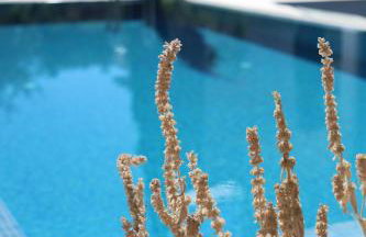 Villa Brac - Photo 9