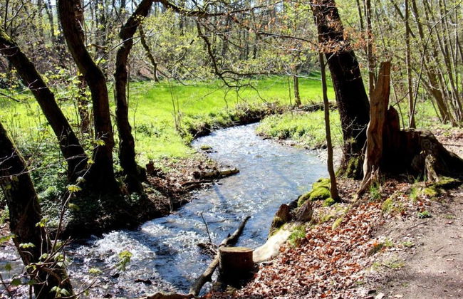 Heritage Villa With Home Cinema, Sauna - Foto 39