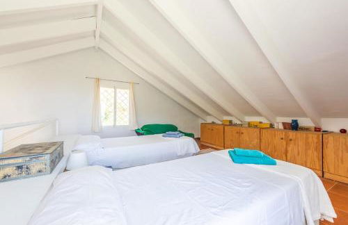 Casa Pájaro Colores in Bolonia - Foto 7