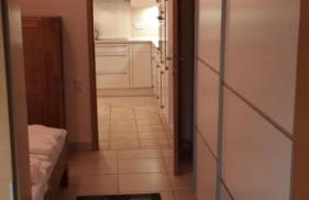 Froschkönig mit Teichblick - Photo 11