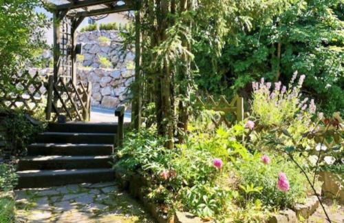 Waldseele Appartement - Foto 1