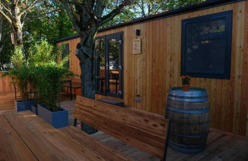 Racoon - Außergewöhnliches Tinyhauserlebnis beim Reptilienzoo Reptilium - Foto 15