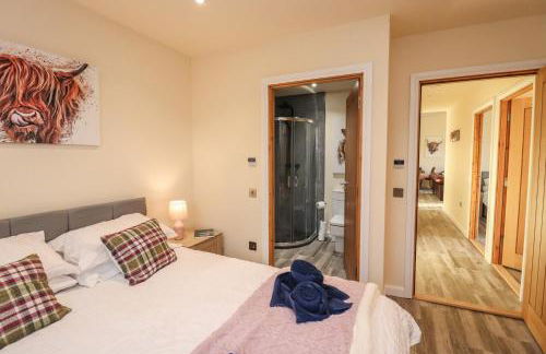 Red Squirrel - Foto 16