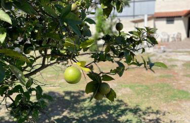 Recanto Nobre - Região dos Lagos - Foto 11