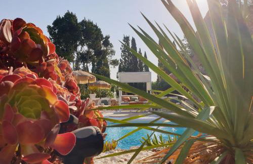 Las Fincas de Annie - Foto 8