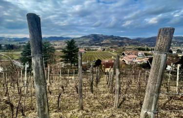 Agriturismo Poderi Zunino - Foto 65