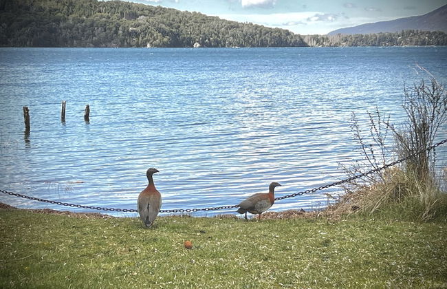 Amazing Cabin on the Shore of Lake Moreno H58 by Apartments Bariloche - Photo 41