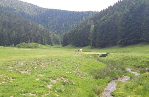 La Cabane du Cerf à Payolle - Foto 17