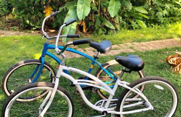 Beach Studio by Shark's Cove - Foto 16